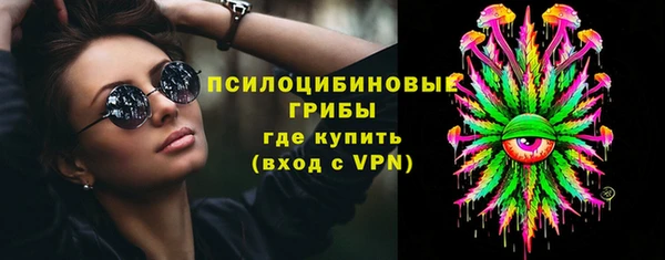 PSILOCYBIN Алексеевка