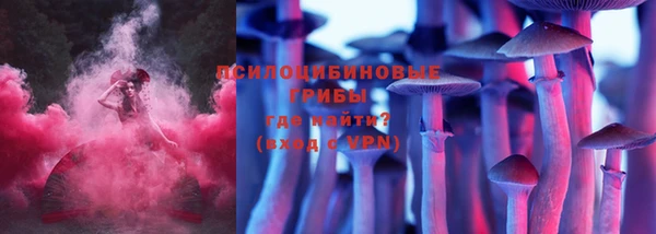 PSILOCYBIN Алексеевка