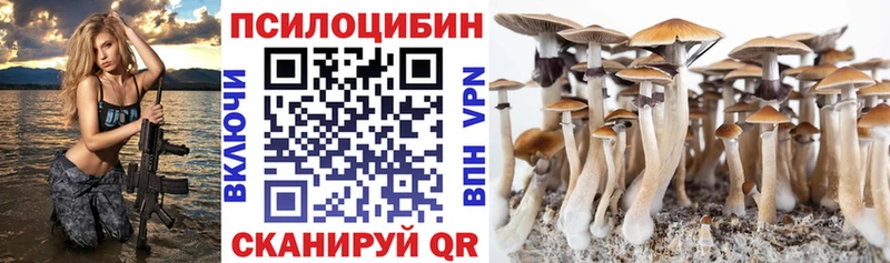 Купить где  Константиновск  Псилоцибиновые грибы мицелий 